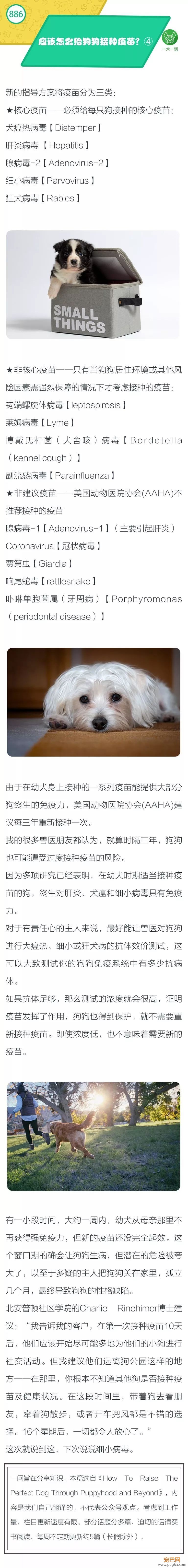 如何给狗狗接种疫苗？④-1.jpeg