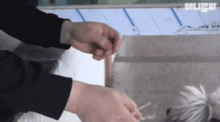 狗狗不好好吃饭偏要出去讨食，背后原因却感动了上百万网友…-11.gif
