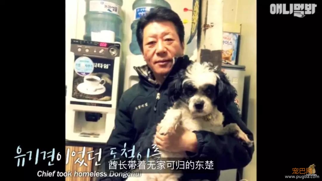 狗狗不好好吃饭偏要出去讨食，背后原因却感动了上百万网友…-16.jpg