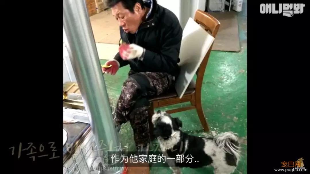 狗狗不好好吃饭偏要出去讨食，背后原因却感动了上百万网友…-18.jpg