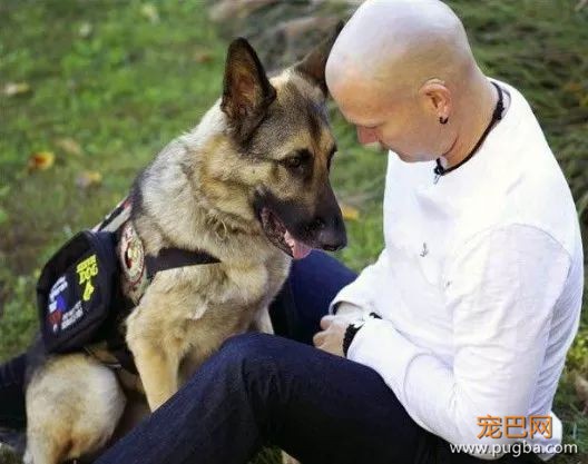 服务犬：保护你，就是我存在的意义......-7.jpeg