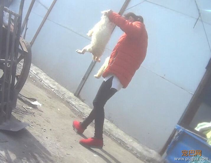 被志愿者解救后，它们躲了起来......-11.jpeg