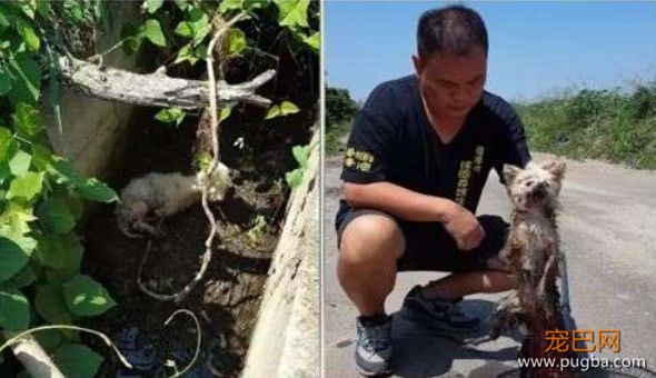 被志愿者解救后，它们躲了起来......-13.jpeg