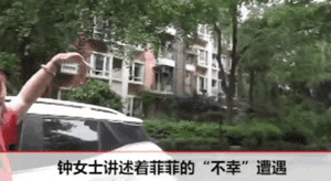 笑尿！小鸟持续一个月往狗狗头上拉屎：还叫伙伴来观战！-2.gif
