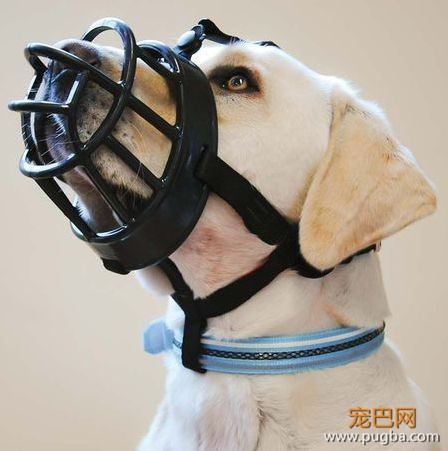 万圣节要“鬼混”，这却是一次攸关性命的cosplay？-2.jpeg