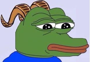 养狗狗来陪伴自己，当它们也开始孤单后......-4.jpeg
