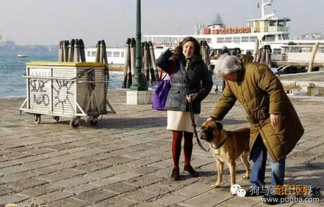 如果把国外那些超严厉的养狗规定引进大陆，你还是合格的铲屎官吗？-3.jpeg