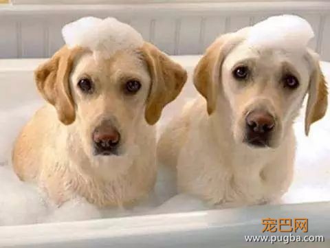 只是有点咳嗽？上呼吸道感染在悄悄接近......-3.jpeg