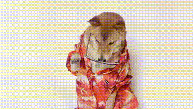 只是有点咳嗽？上呼吸道感染在悄悄接近......-2.gif