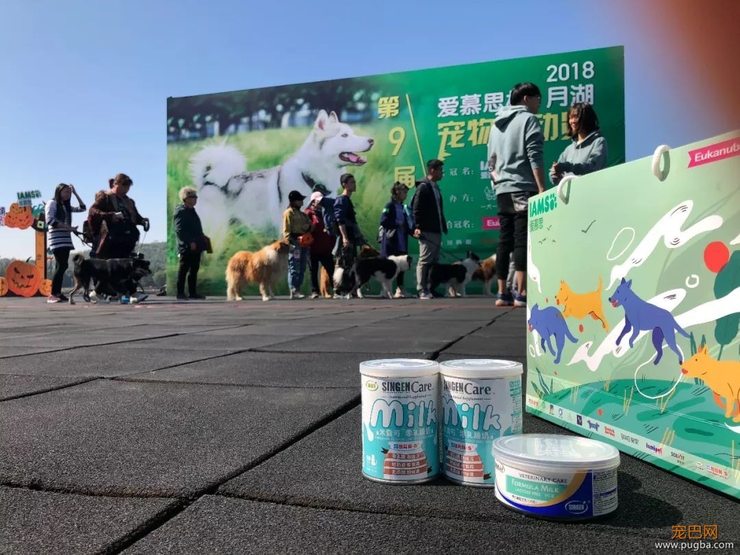 400只狗狗@了你并邀请你进来投票拿礼物！线上选美开始了！-20.jpeg