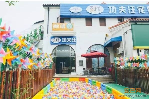 400只狗狗@了你并邀请你进来投票拿礼物！线上选美开始了！-31.jpeg