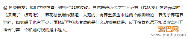 大学生宿舍养小香猪受处分？美国某公园的工作就是撸狗......-8.png