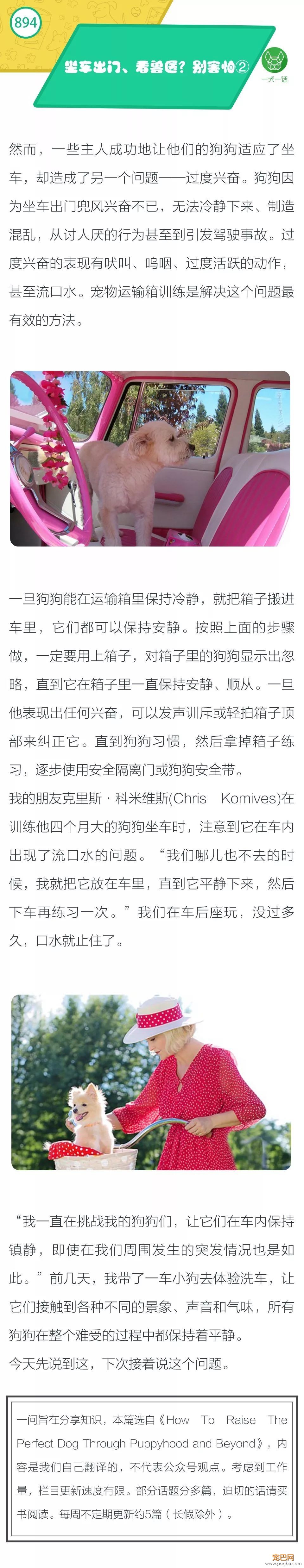 带狗狗坐车出门、看兽医？别害怕②-1.jpeg