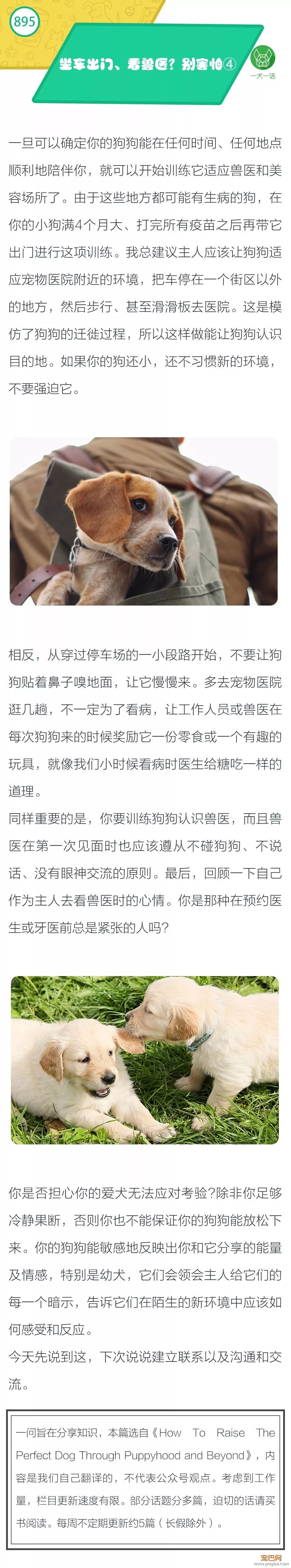 带狗狗坐车出门、看兽医？别害怕③-1.jpeg