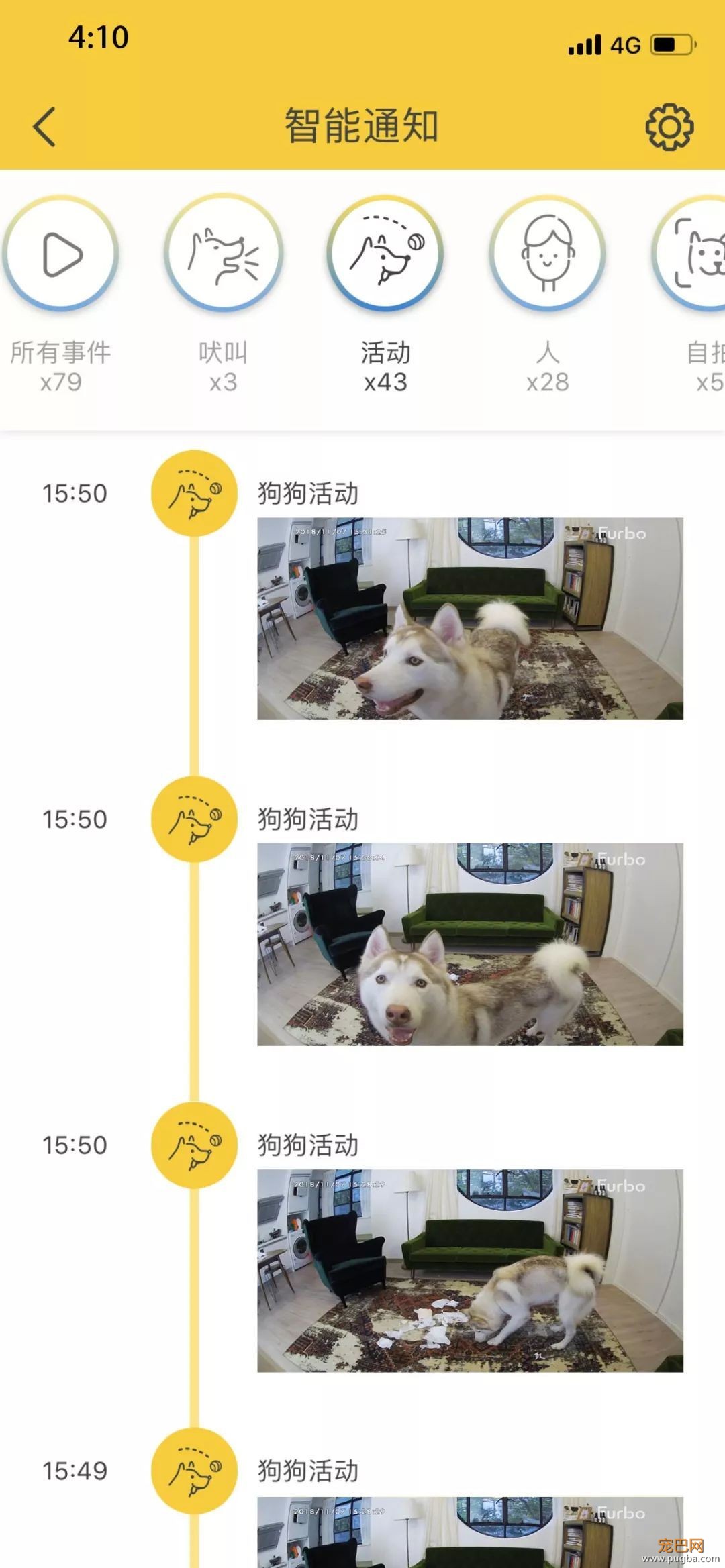 出门就撕家？没想到疯狂二哈也有投降的一天！-17.jpeg