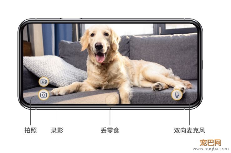 出门就撕家？没想到疯狂二哈也有投降的一天！-22.jpeg