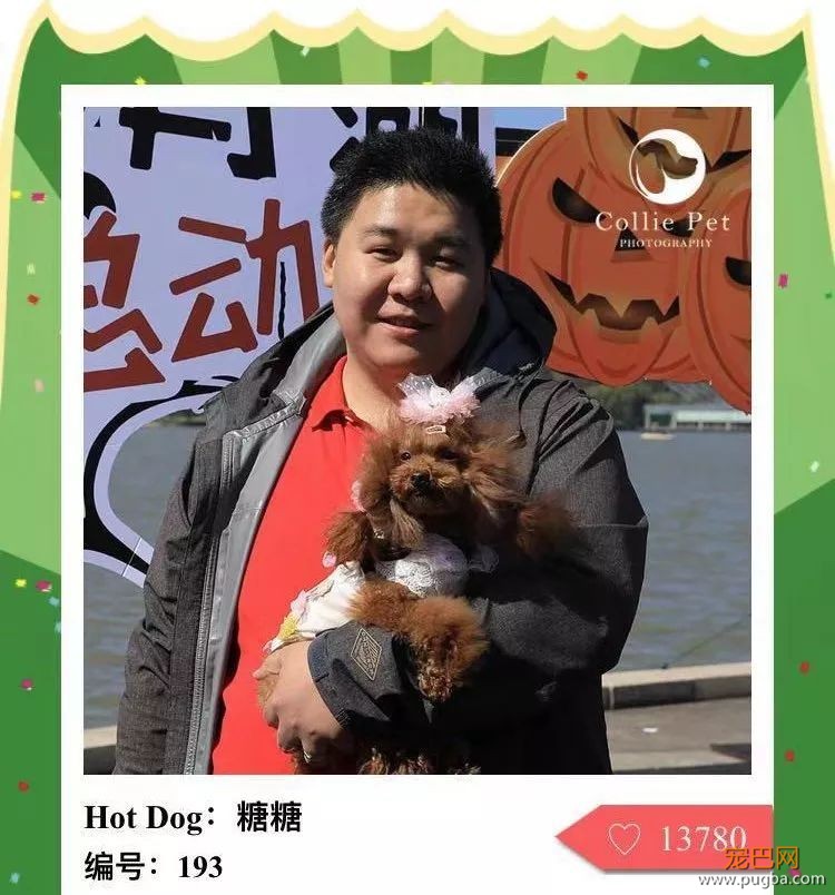 @人气最旺的幸运汪！选美大赛的大奖在召唤你！-6.jpeg