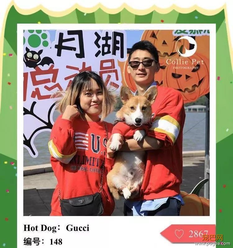 @人气最旺的幸运汪！选美大赛的大奖在召唤你！-9.jpeg