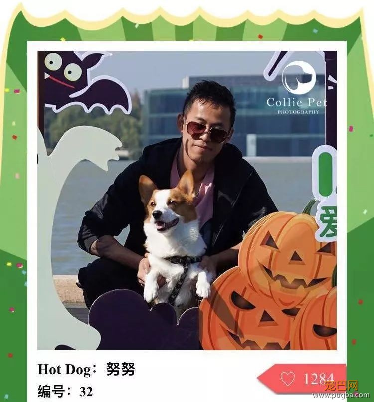 @人气最旺的幸运汪！选美大赛的大奖在召唤你！-12.jpeg