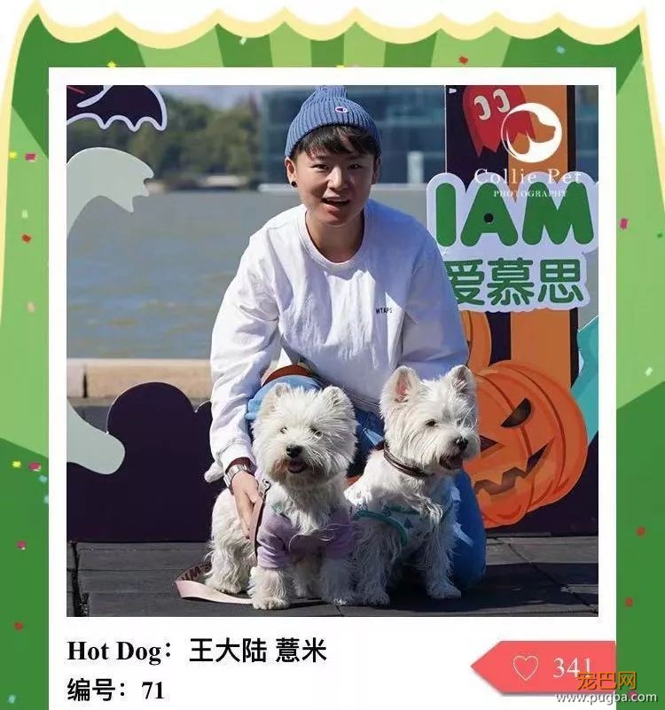 @人气最旺的幸运汪！选美大赛的大奖在召唤你！-15.jpeg