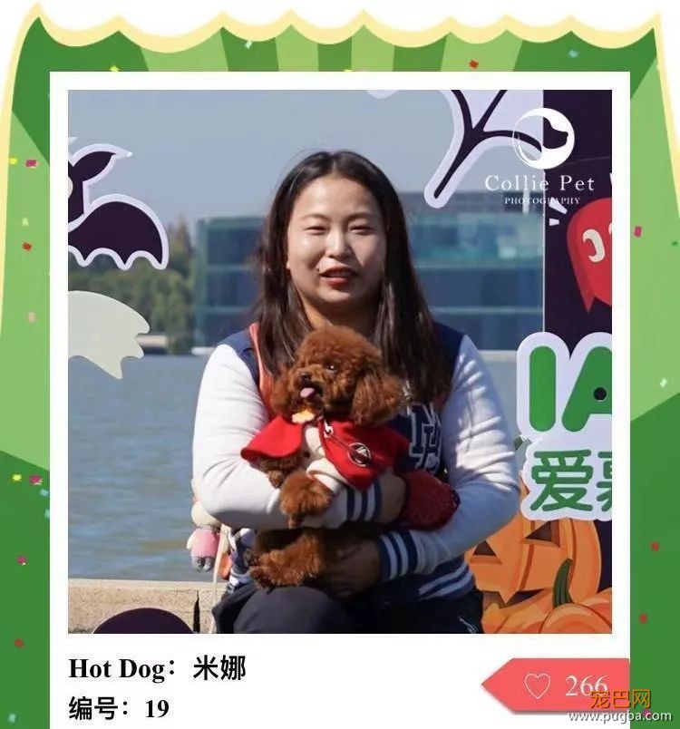@人气最旺的幸运汪！选美大赛的大奖在召唤你！-17.jpeg