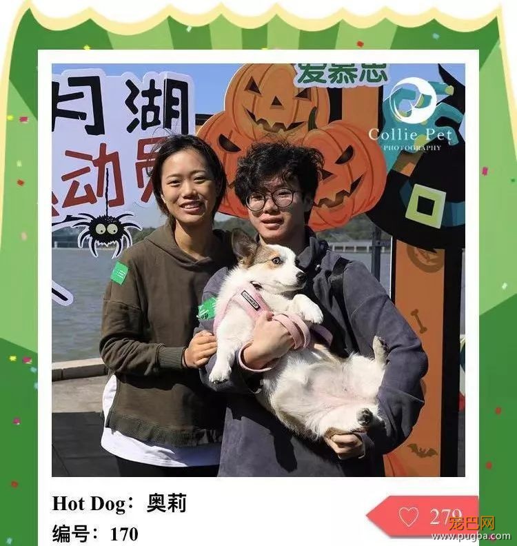 @人气最旺的幸运汪！选美大赛的大奖在召唤你！-16.jpeg