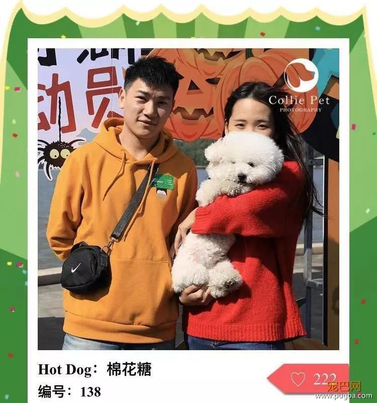 @人气最旺的幸运汪！选美大赛的大奖在召唤你！-20.jpeg