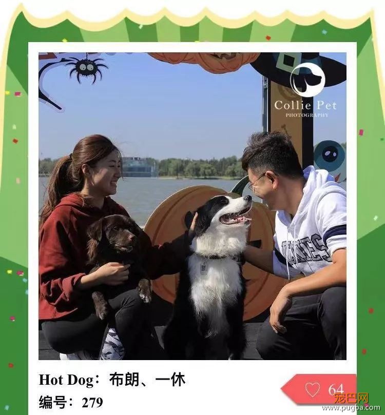 @人气最旺的幸运汪！选美大赛的大奖在召唤你！-28.jpeg