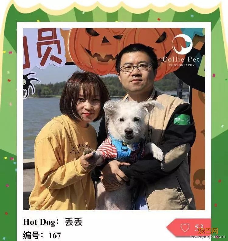 @人气最旺的幸运汪！选美大赛的大奖在召唤你！-32.jpeg