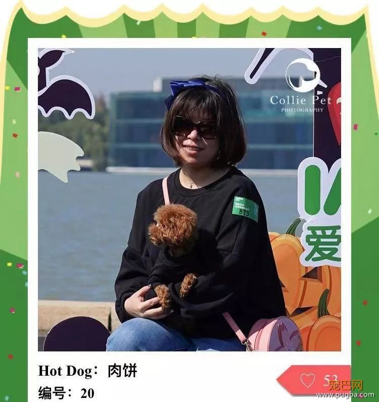 @人气最旺的幸运汪！选美大赛的大奖在召唤你！-31.jpeg