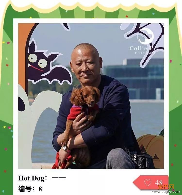 @人气最旺的幸运汪！选美大赛的大奖在召唤你！-33.jpeg
