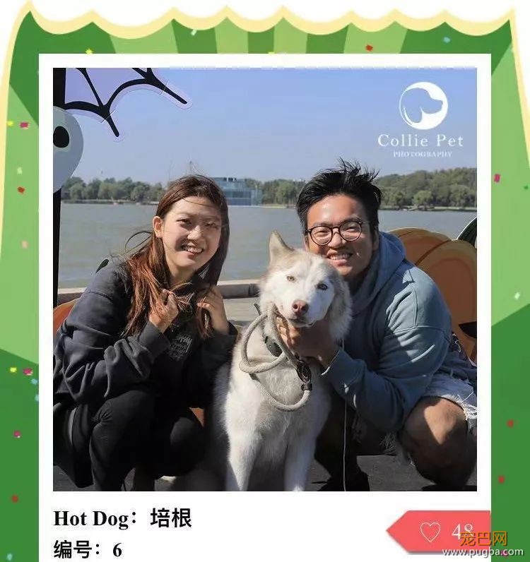 @人气最旺的幸运汪！选美大赛的大奖在召唤你！-34.jpeg