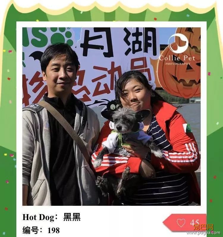 @人气最旺的幸运汪！选美大赛的大奖在召唤你！-36.jpeg