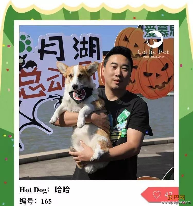 @人气最旺的幸运汪！选美大赛的大奖在召唤你！-35.jpeg