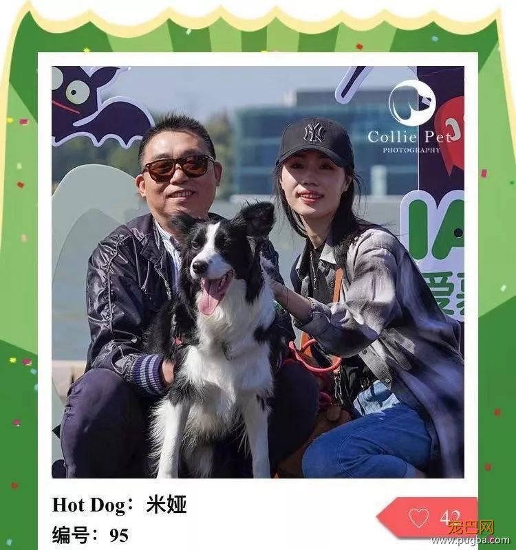 @人气最旺的幸运汪！选美大赛的大奖在召唤你！-37.jpeg