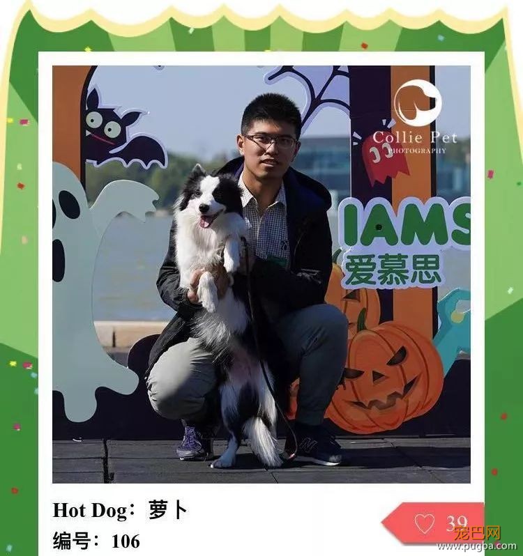 @人气最旺的幸运汪！选美大赛的大奖在召唤你！-39.jpeg