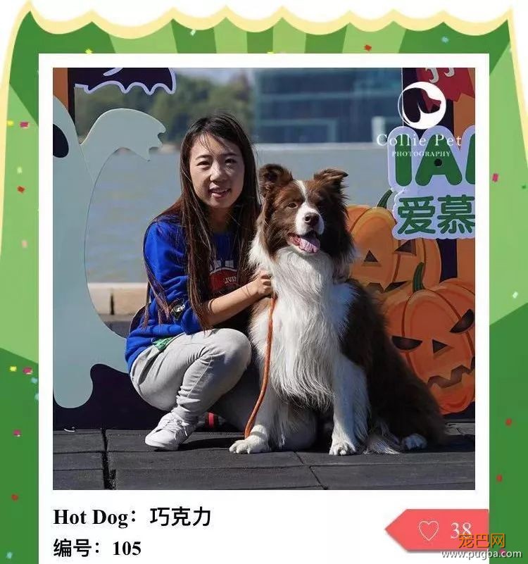 @人气最旺的幸运汪！选美大赛的大奖在召唤你！-40.jpeg