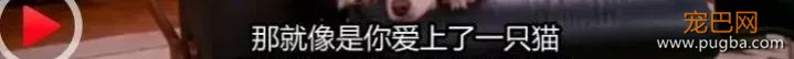 狗狗真的知道你在伤心吗？最新研究显示...-14.jpeg