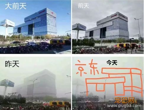 雾霾天太可怕，连狗狗都不放过......-3.jpeg