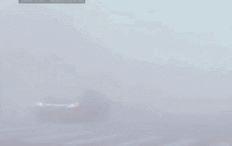 雾霾天太可怕，连狗狗都不放过......-5.gif