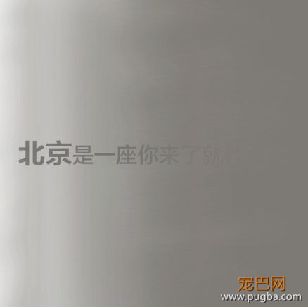雾霾天太可怕，连狗狗都不放过......-6.jpeg