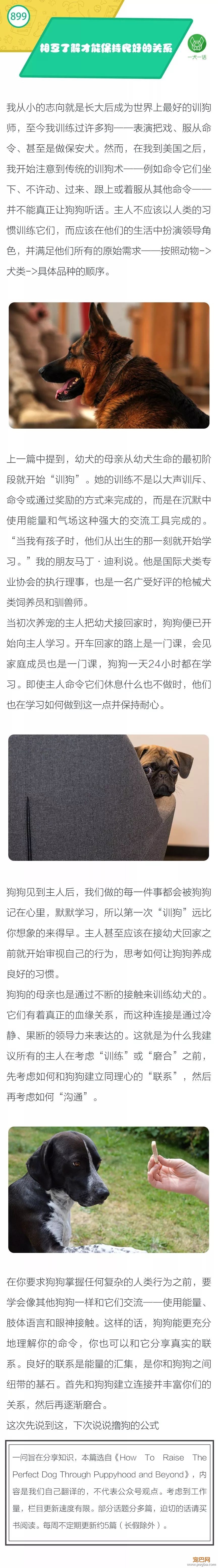 你真的了解狗狗吗？-1.jpeg