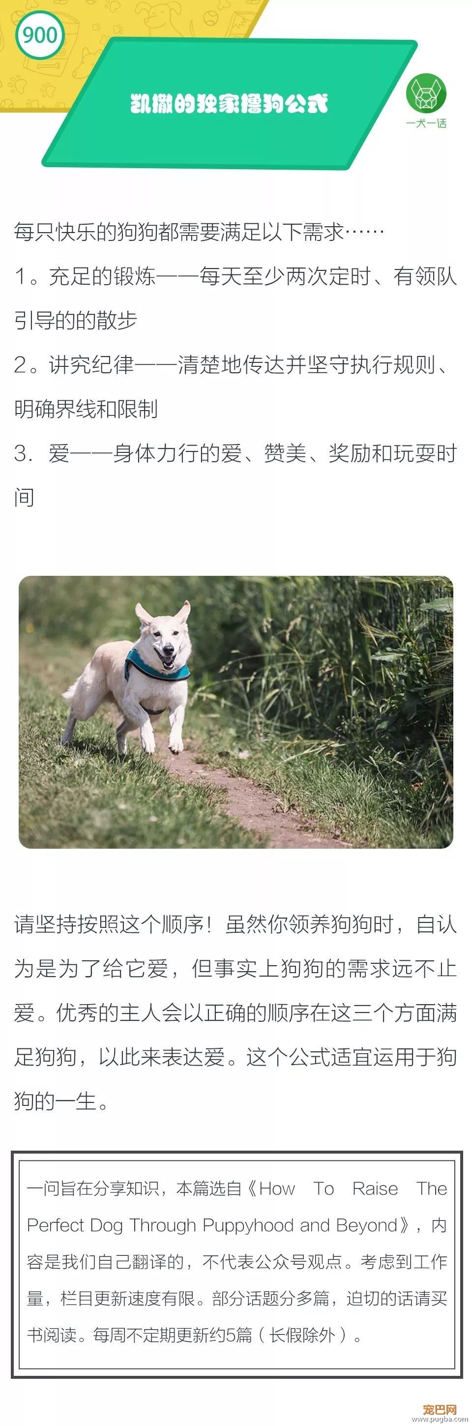 撸狗也有愉快公式？-1.jpeg