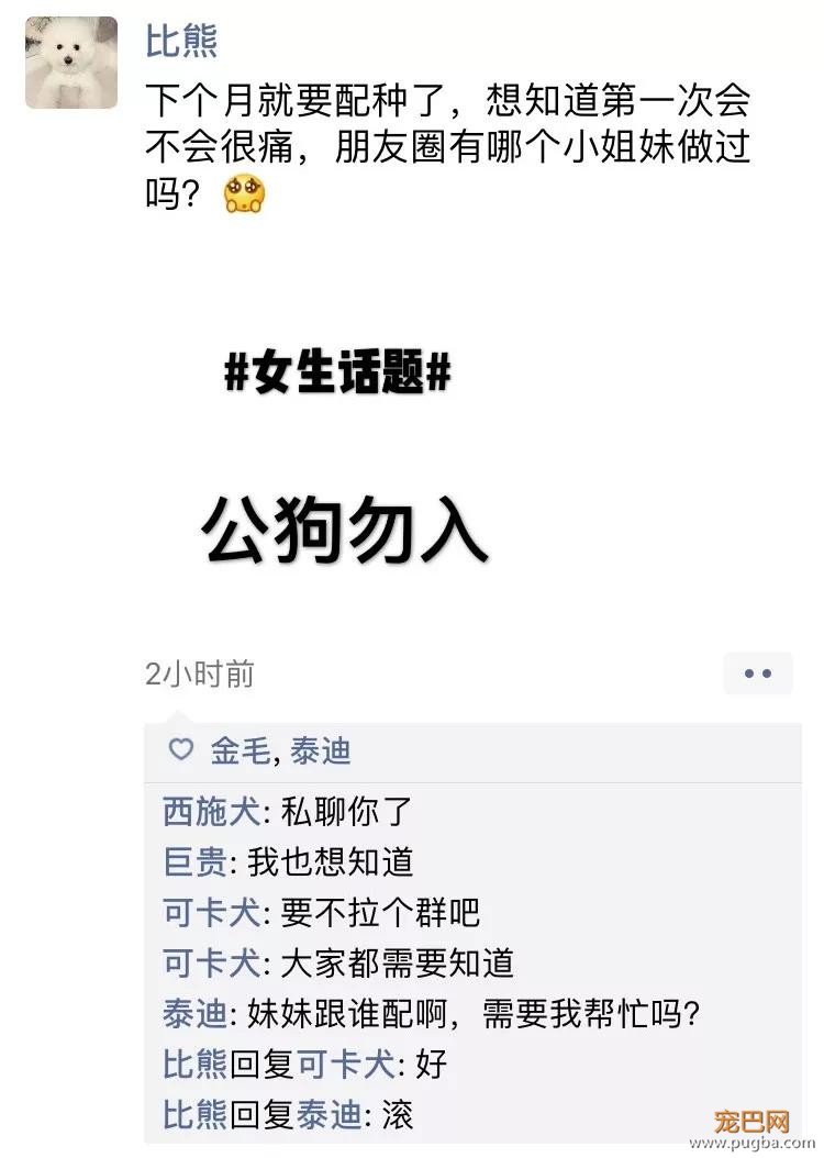 笑屎了！冒死混进汪星人的朋友圈，它们聊的内容承包了我本周所有笑点！-11.jpg