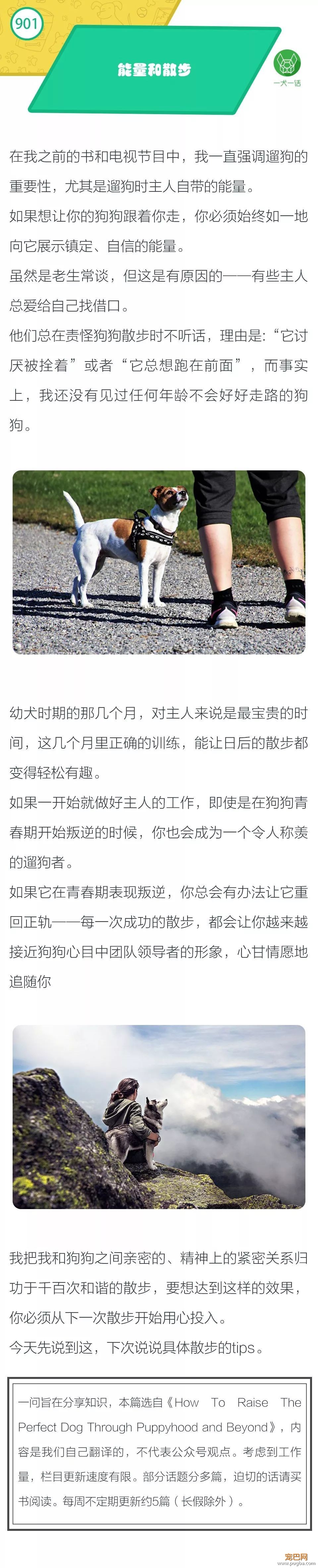带狗狗散步也很重要？-1.jpeg