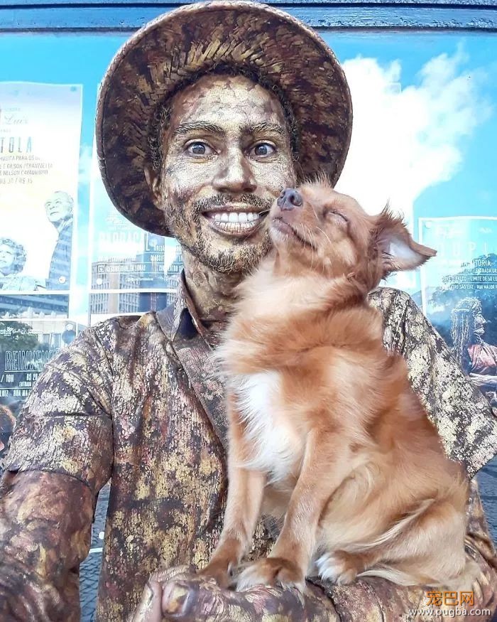 这只浑身艺术细胞的狗砸，不仅自己走红全网，还成功带火了主人！-4.jpeg