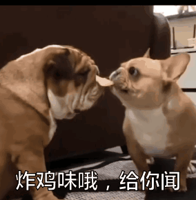 这只叼着薯片的狗砸样子有多贱？快把同伴气炸啦！-2.gif