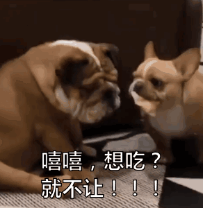 这只叼着薯片的狗砸样子有多贱？快把同伴气炸啦！-6.gif