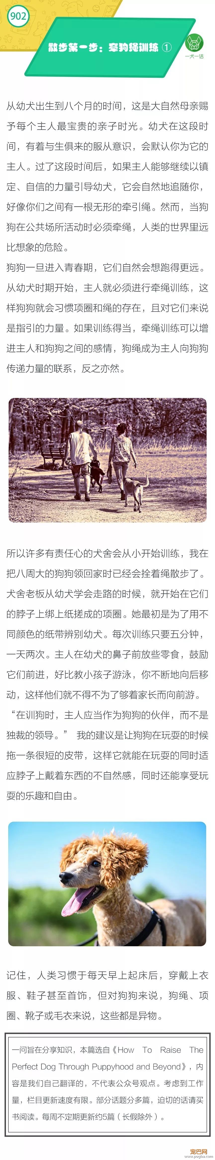 散步第一步：牵绳训练①-1.jpeg