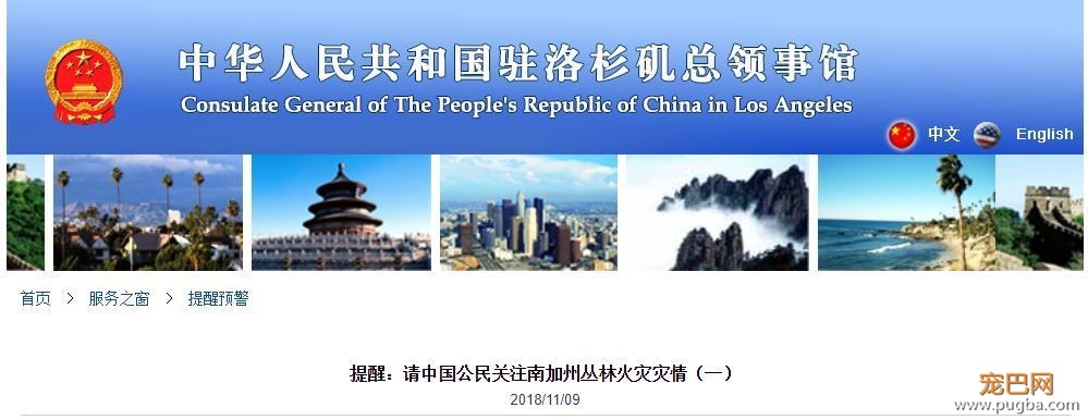 44人死！25万人大撤退！中国总领馆紧急通知！这里变成人间炼狱！有人疯狂逃窜，有人吓到趴下，还有人，向灾难冲去...-6.jpeg